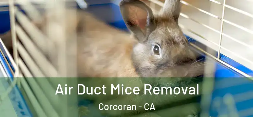  Air Duct Mice Removal Corcoran - CA