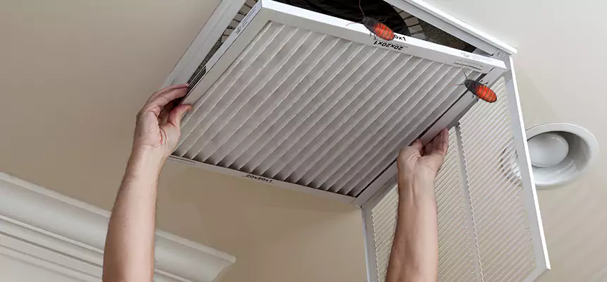 Preventive Cockroach-Proofing for Ducts in Corcoran