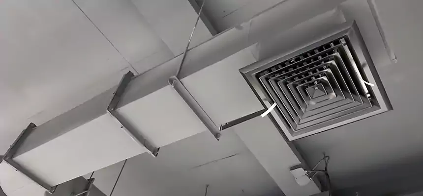 Our Pest Removal From Ducts Services in Corcoran, CA