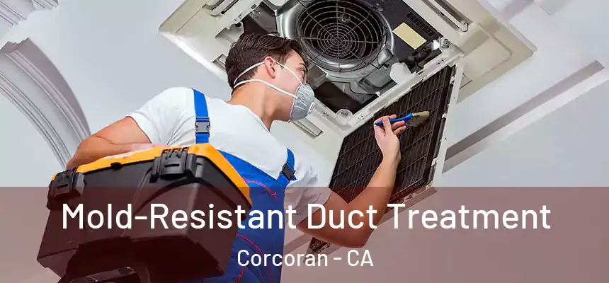  Mold-Resistant Duct Treatment Corcoran - CA