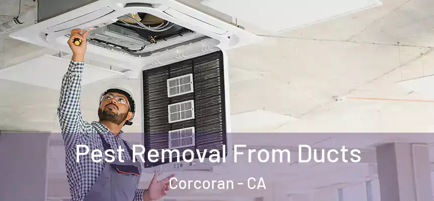  Pest Removal From Ducts Corcoran - CA