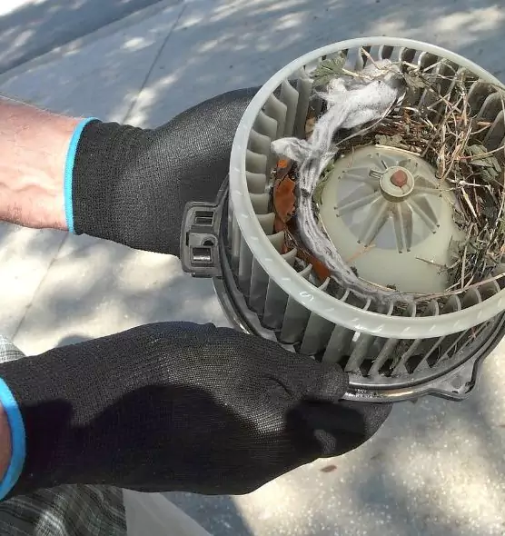 About Air Duct Rat Removal in Corcoran, CA