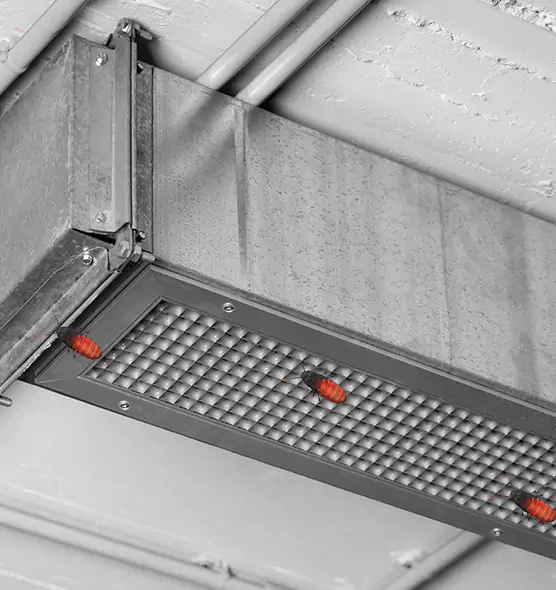 Affordable Insect Removal from Air Ducts in Corcoran, CA