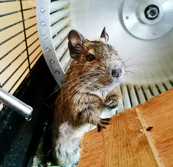 Why Homeowners & Businesses Trust Us Corcoran, CA