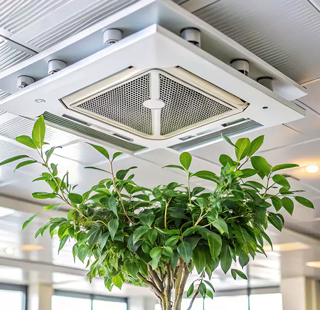 Why Homeowners & Businesses Trust Us in Corcoran, CA?